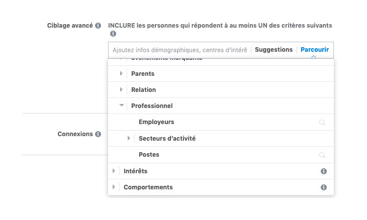 Capture d'écran des critères possibles pour cibler une publicité Facebook.